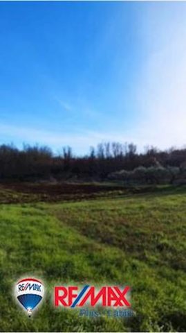Pozemok na predaj 11669 m² – Barban