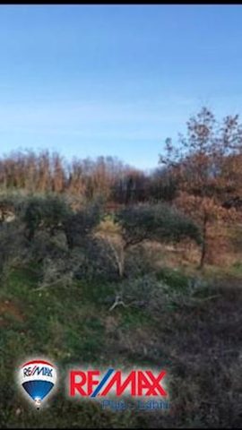 Terrain À vendre - Istarska Barban - foto 3/9