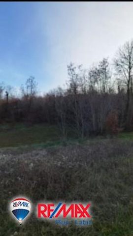 Terrain À vendre - Istarska Barban - foto 4/9