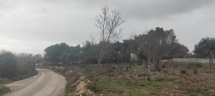 Land For sale - Istarska Medulin - foto 5/5