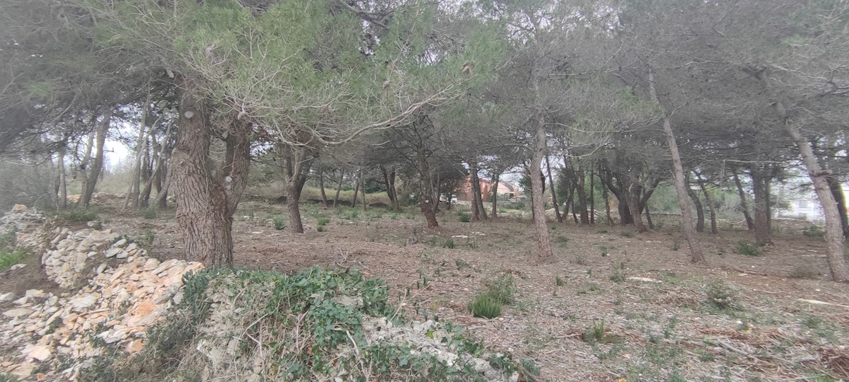 Land For sale - ISTARSKA  MEDULIN 