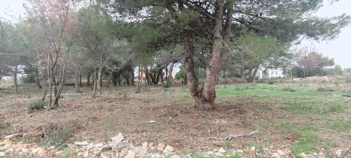 Land For sale - ISTARSKA  MEDULIN 