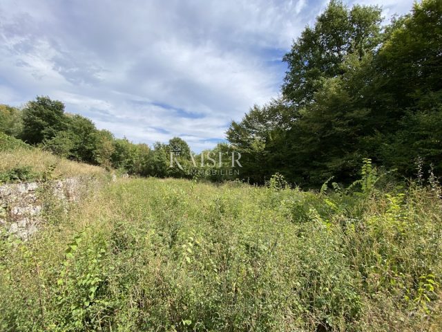 Parcela na predaj 1255 m² – Veprinac