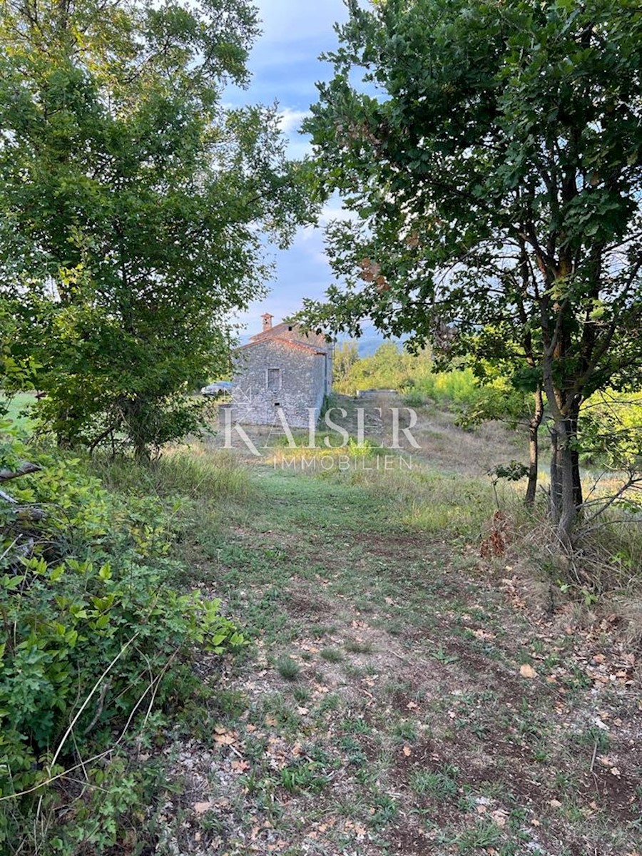 Land For sale - ISTARSKA  KRŠAN 