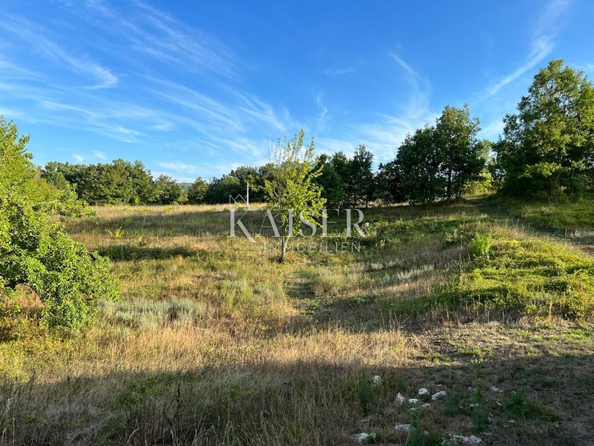 Land For sale - ISTARSKA  KRŠAN 