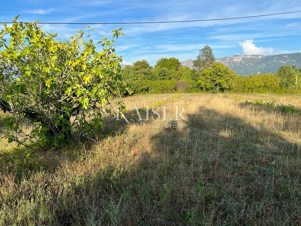 Land For sale - ISTARSKA  KRŠAN 