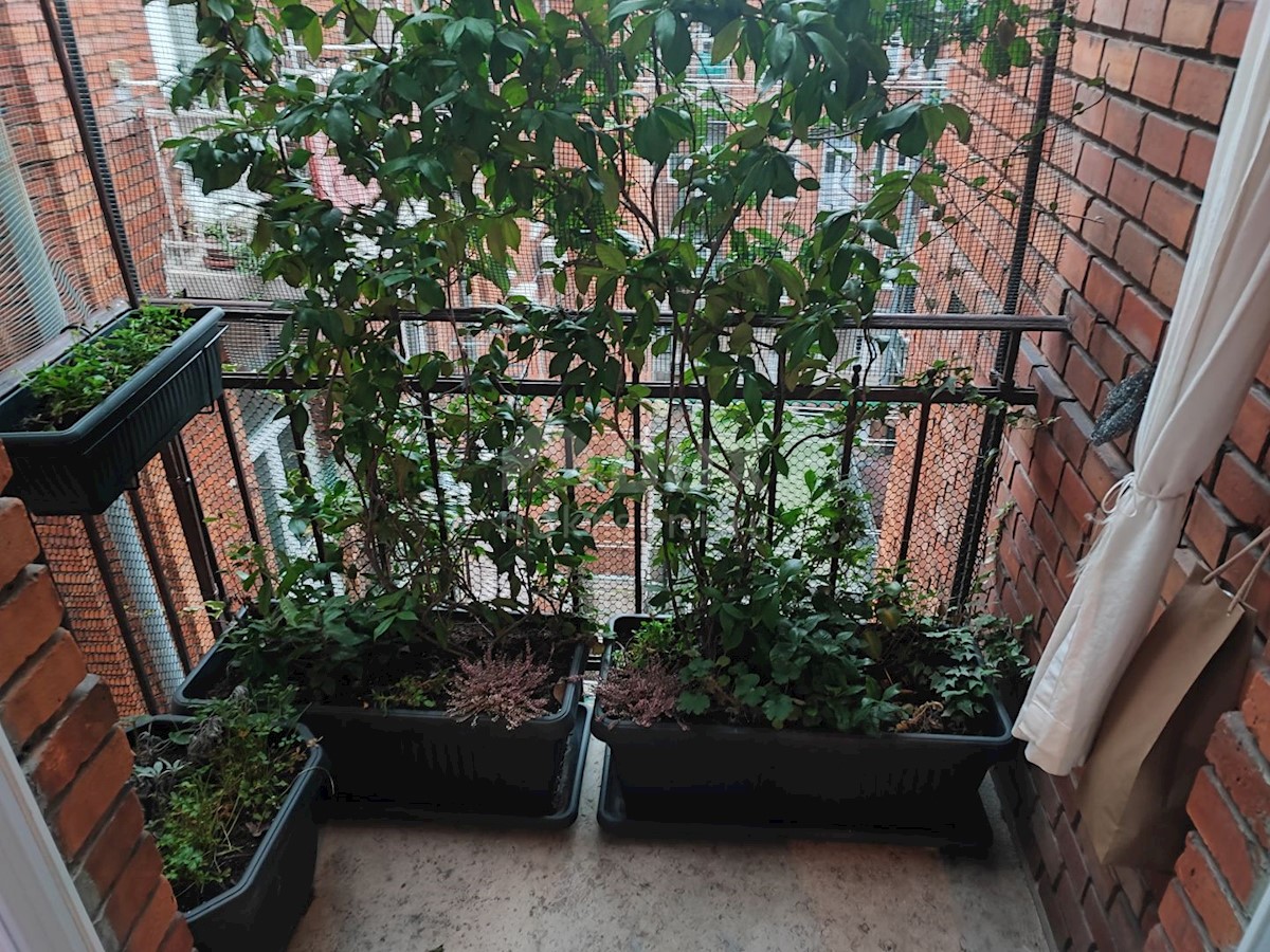 Flat For sale - PRIMORSKO-GORANSKA  RIJEKA 