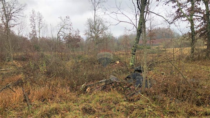 Grundstück Zu verkaufen - Istarska Grožnjan - foto 4/7