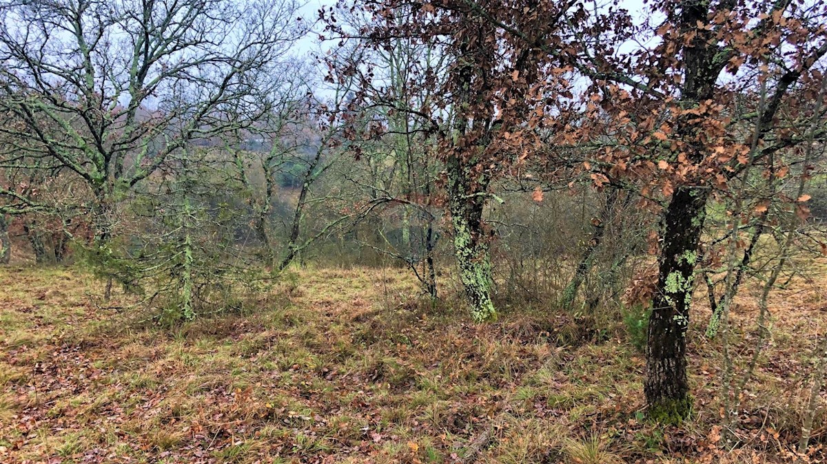 Zemljište Na prodaju - ISTARSKA  GROŽNJAN 