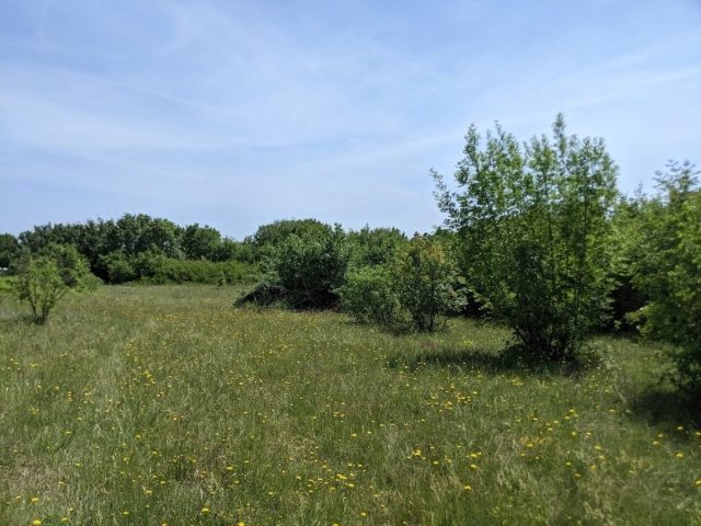 Terreno in vendita 3500 m² – Labin