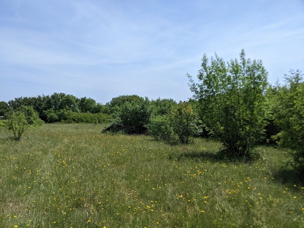 Pozemek Na prodej - Istarska Labin - foto 1/5