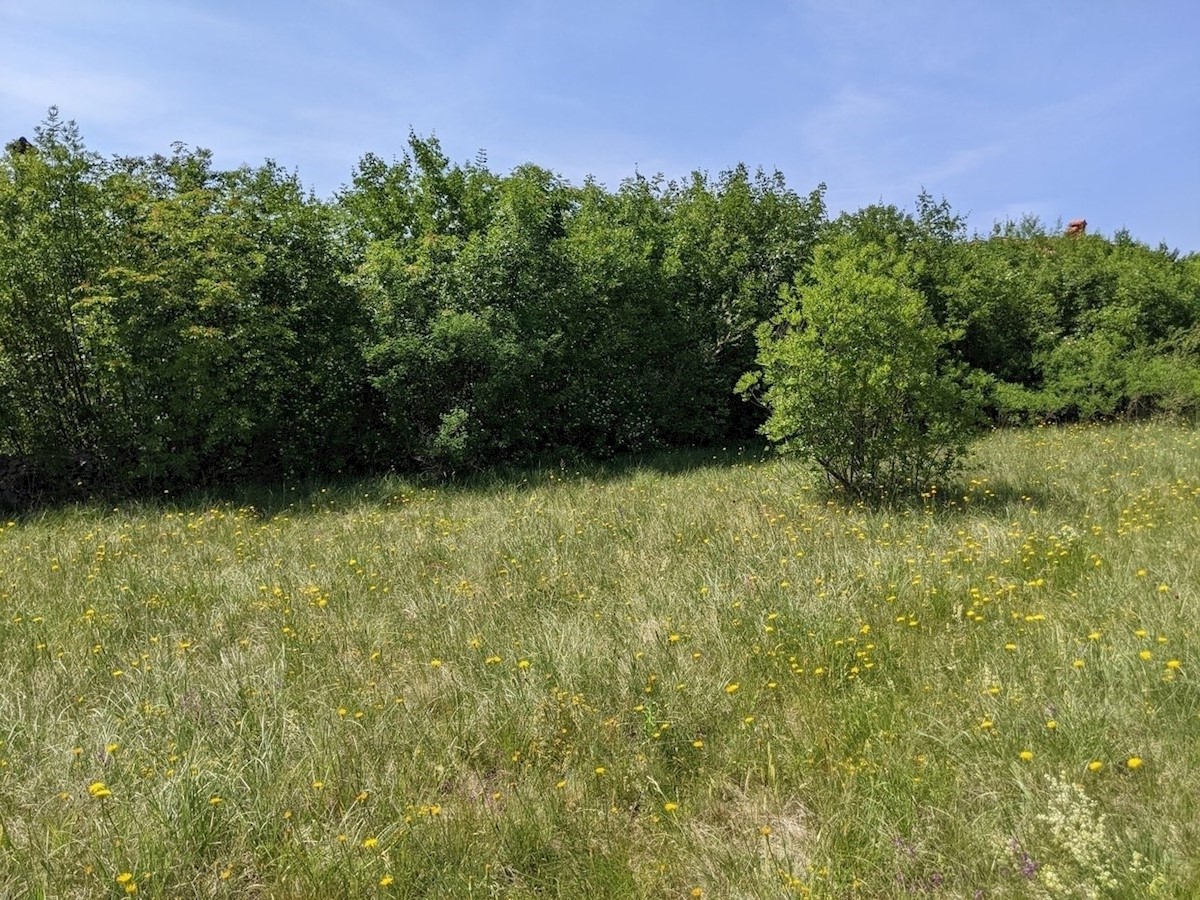 Pozemek Na prodej - Istarska Labin - foto 3/5