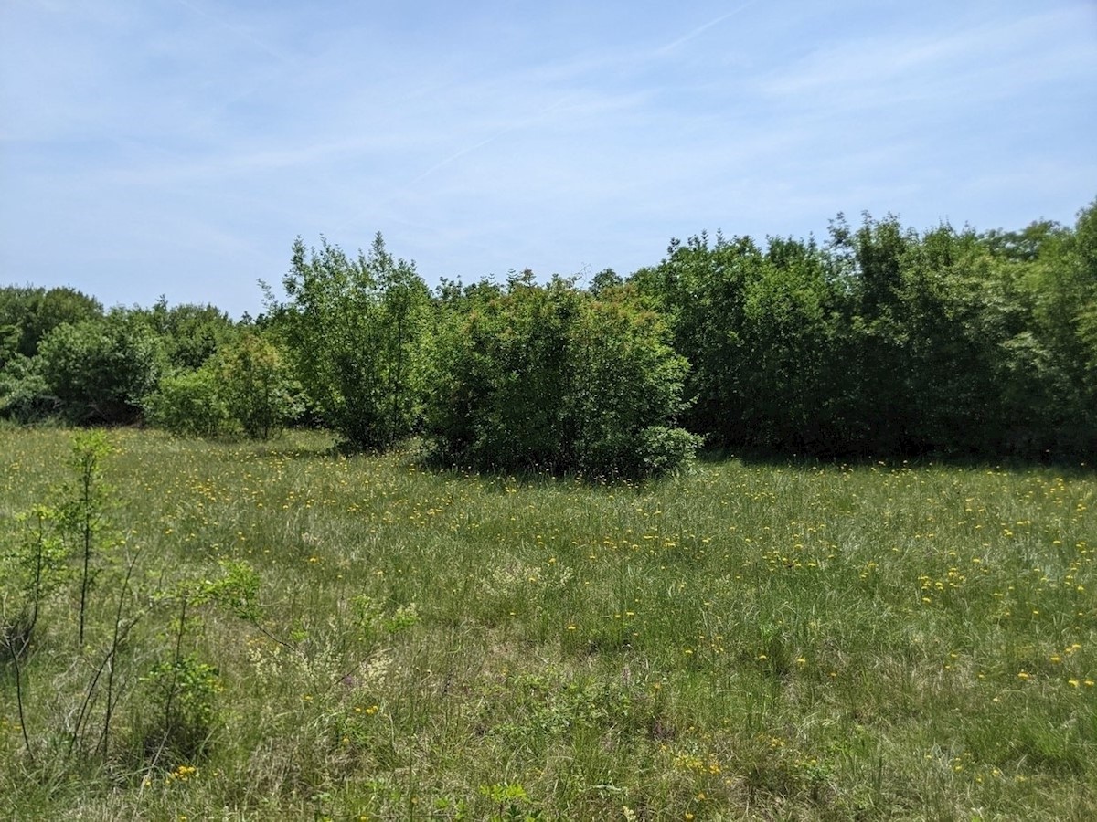 Pozemek Na prodej - Istarska Labin - foto 5/5