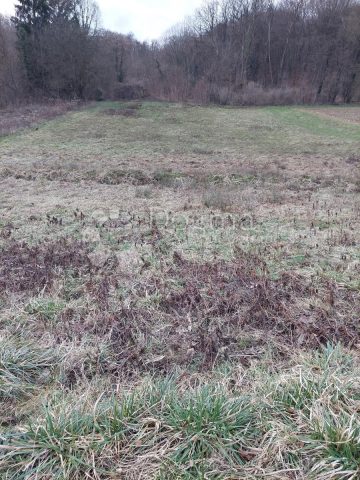 Grundstück zu verkaufen 2631 m² – Seketin