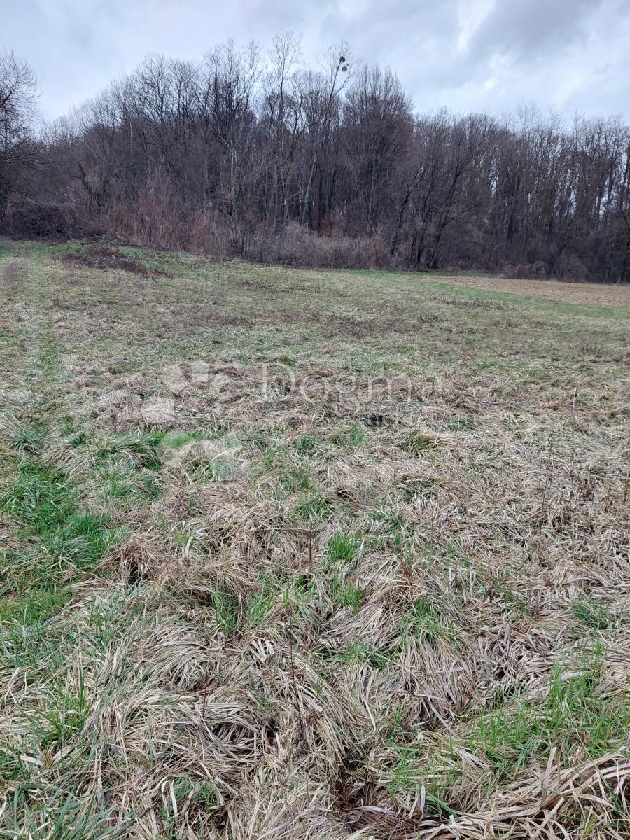 Terreno In vendita - VARAŽDINSKA  SVETI ILIJA 