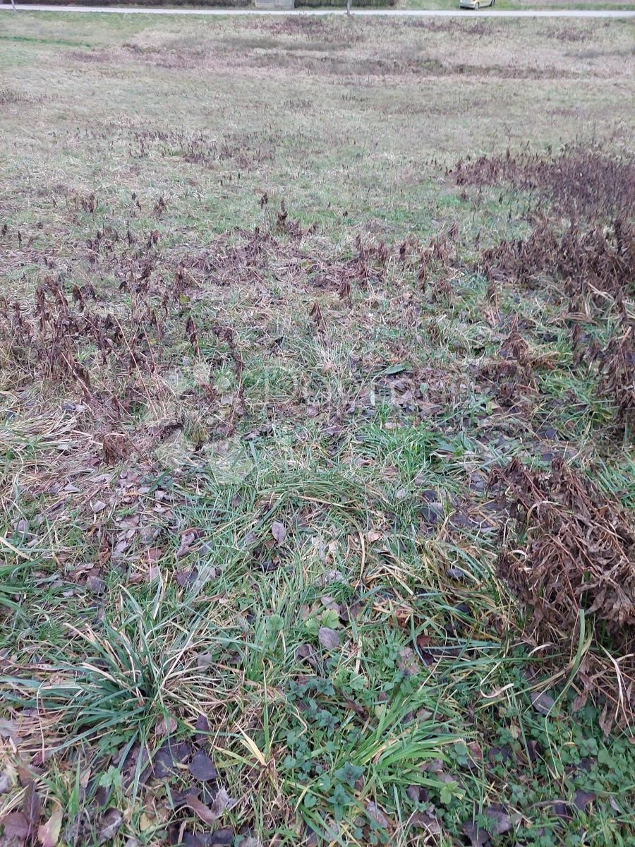 Terreno In vendita - VARAŽDINSKA  SVETI ILIJA 