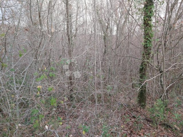 Działka Na sprzedaż - Istarska Labin - foto 3/3