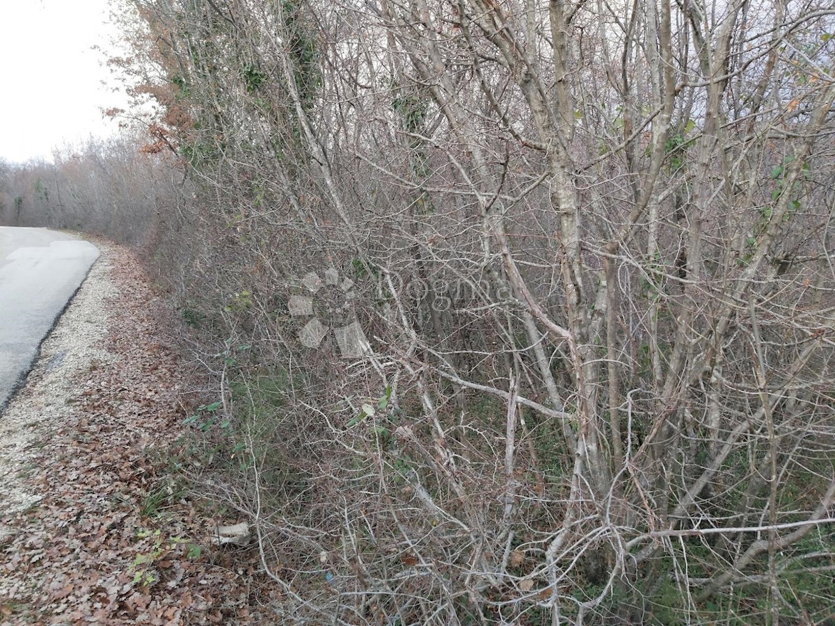 Terreno In vendita - ISTARSKA  LABIN 