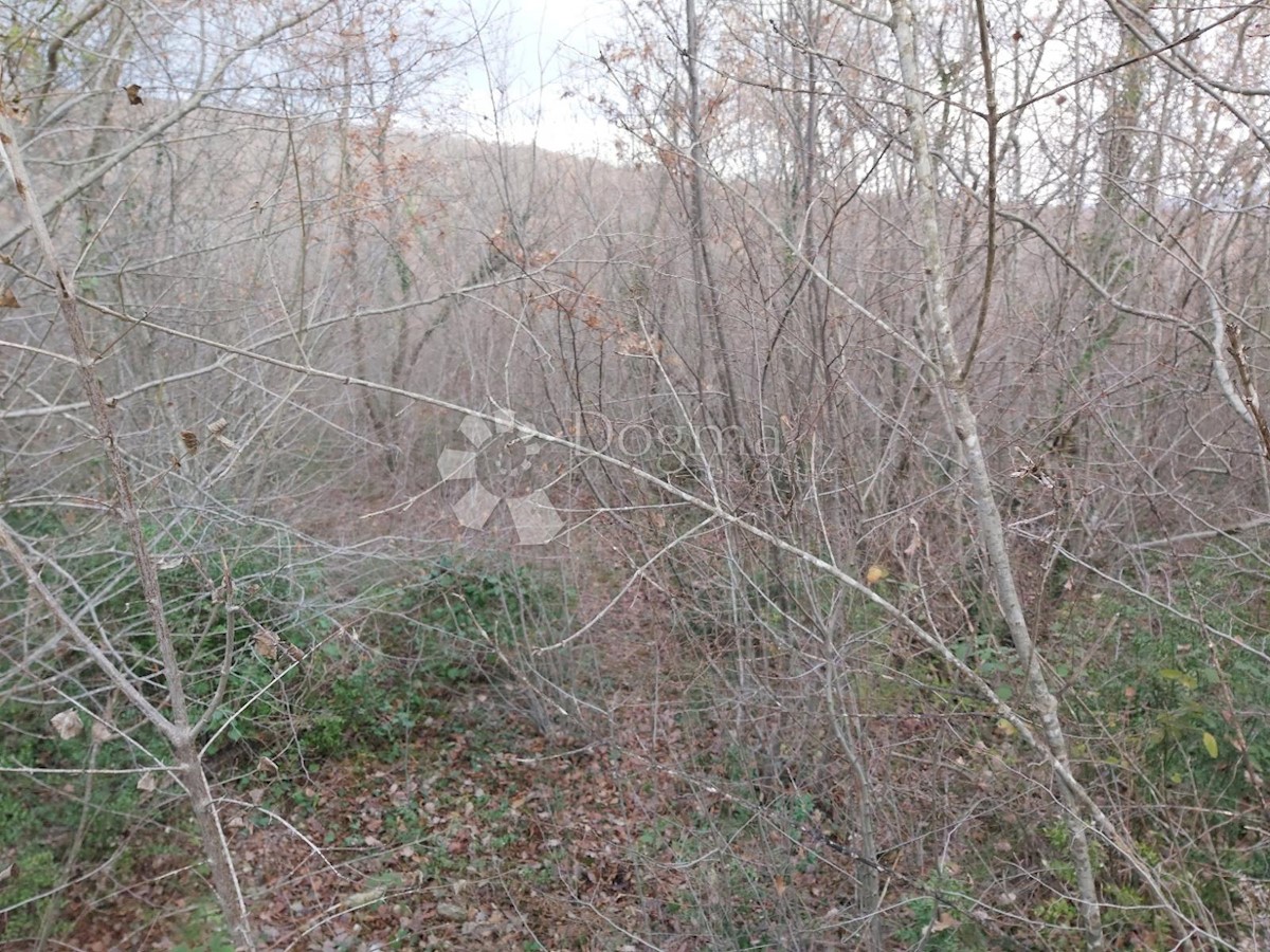 Terreno In vendita - ISTARSKA  LABIN 