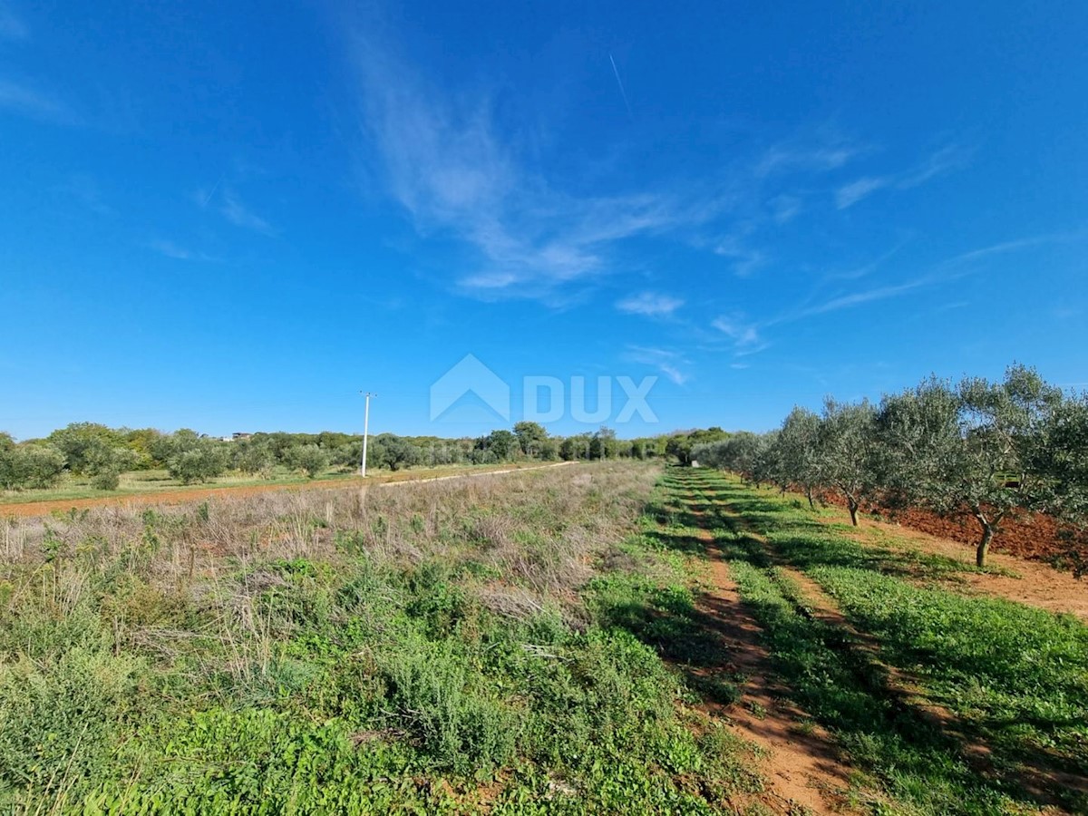 Land For sale - ISTARSKA  PULA 