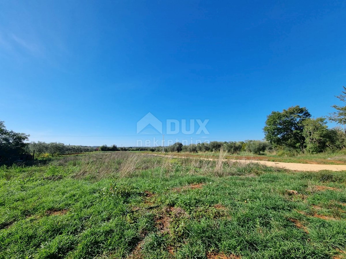 Land For sale - ISTARSKA  PULA 