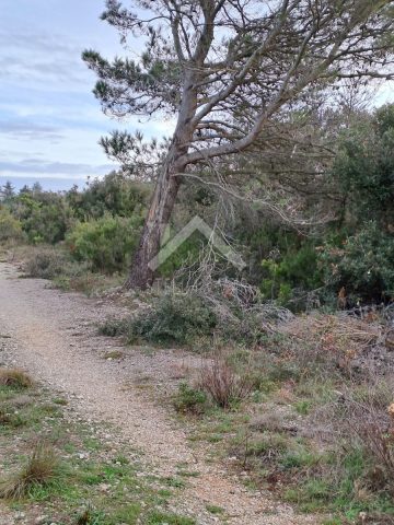 Land For sale - Zadarska Nin - foto 3/4