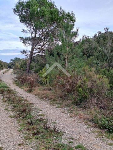 Land For sale - Zadarska Nin - foto 4/4