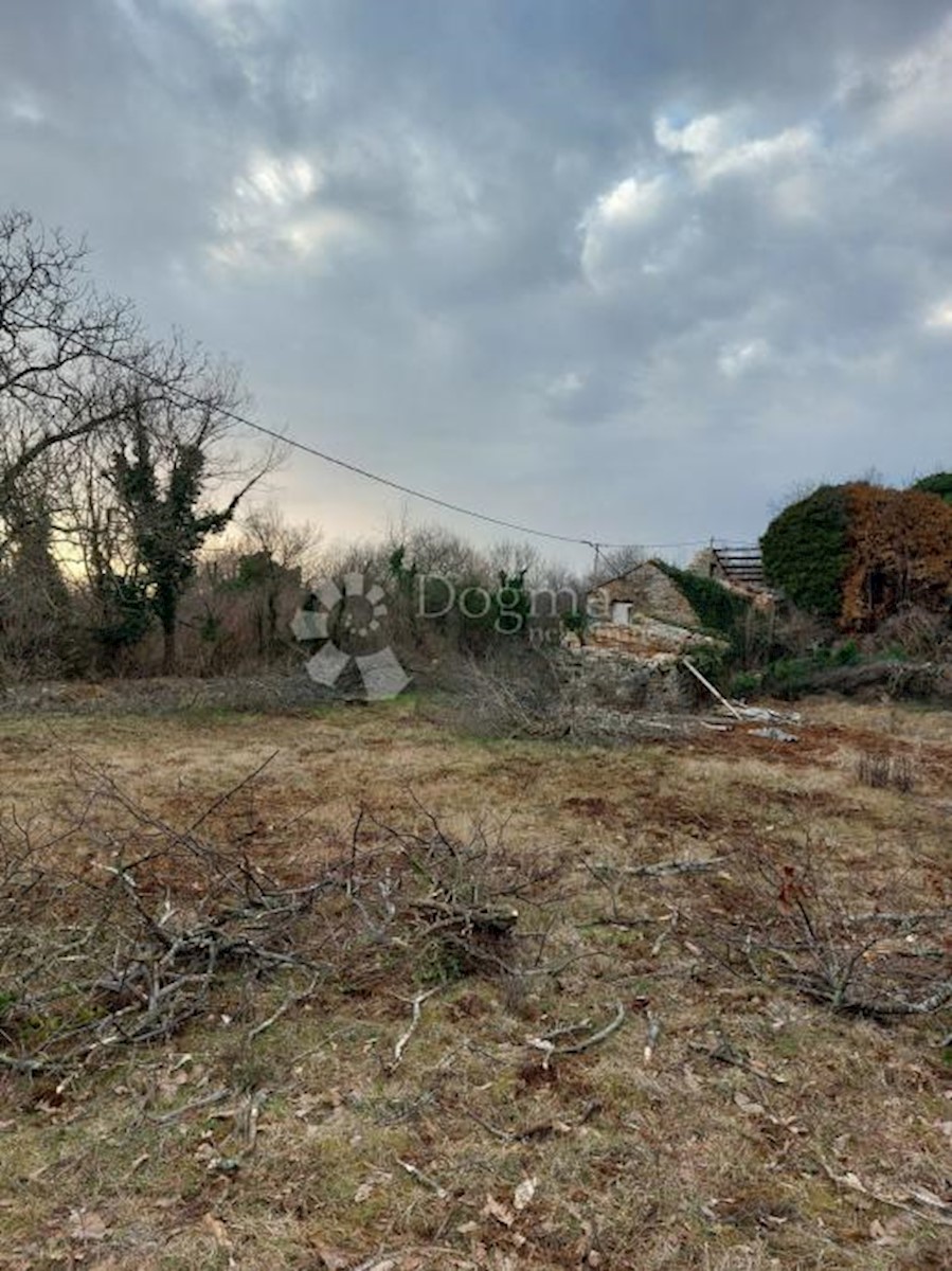 Maison À vendre - ISTARSKA  Oprtalj