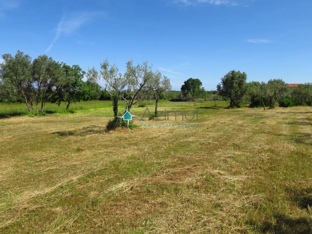 Działka Na sprzedaż - ISTARSKA  VODNJAN 