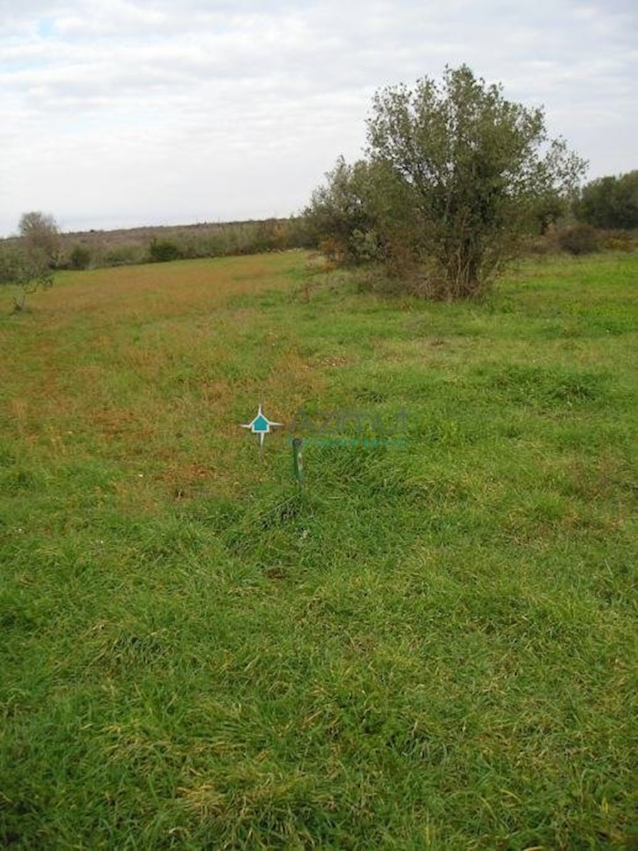 Parcela Na predaj - ISTARSKA  VODNJAN 