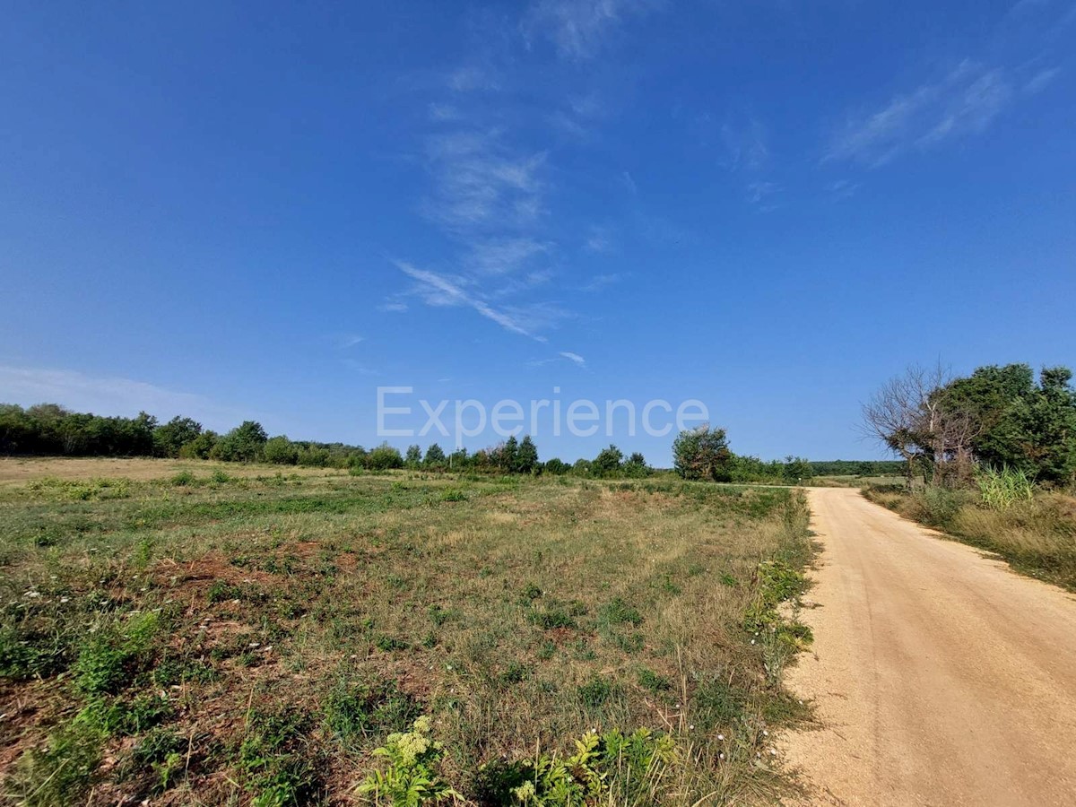 Land For sale - ISTARSKA  KAŠTELIR 