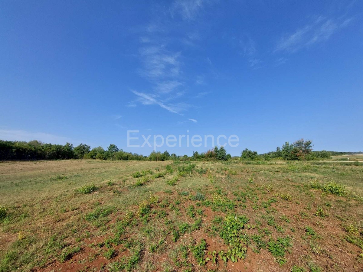 Land For sale - ISTARSKA  KAŠTELIR 