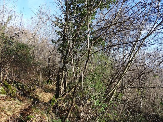 Land For sale - Primorsko-goranska Matulji - foto 3/9