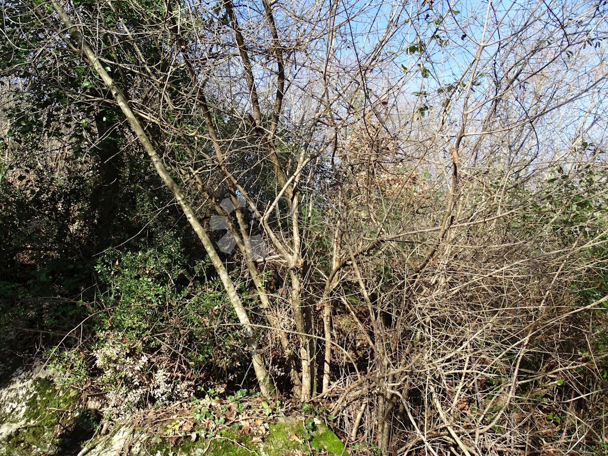 Parcela Naprodaj - PRIMORSKO-GORANSKA  Matulji