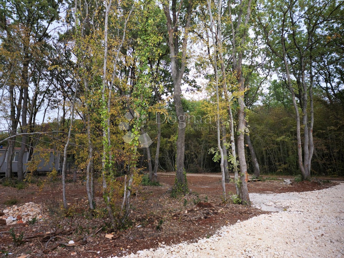 Land For sale - ISTARSKA  Vodnjan