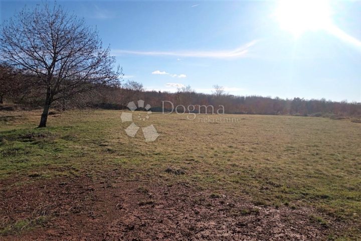 Terreno in vendita 2485 m² – Tinjan