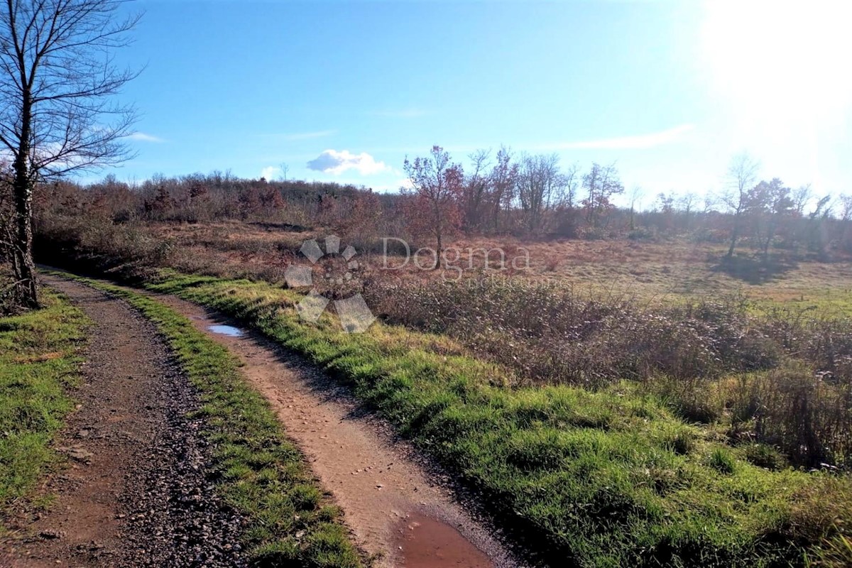 Terreno In vendita - ISTARSKA  TINJAN 