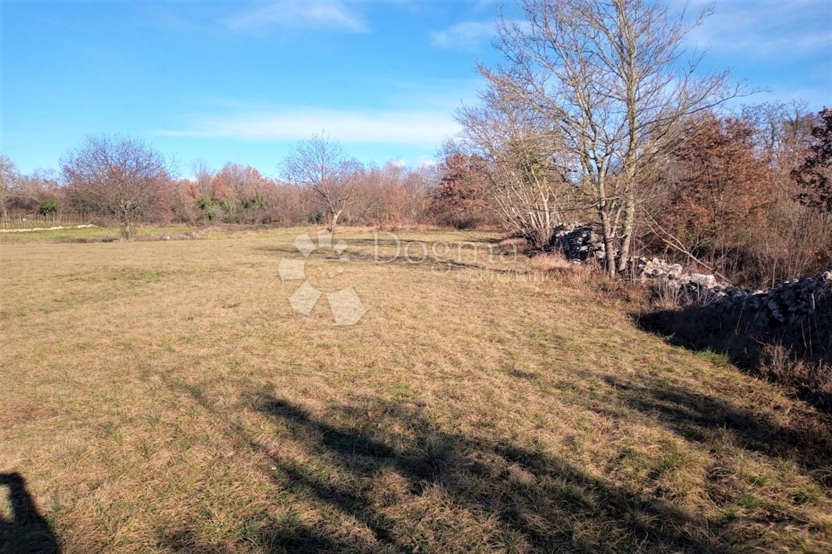 Terreno In vendita - ISTARSKA  TINJAN 