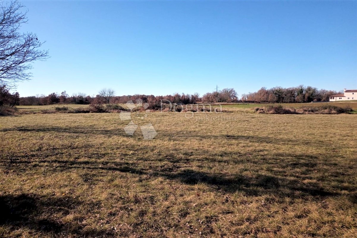 Terreno In vendita - ISTARSKA  TINJAN 