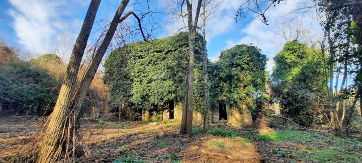 Parcela na predaj 1250 m² – Krasica
