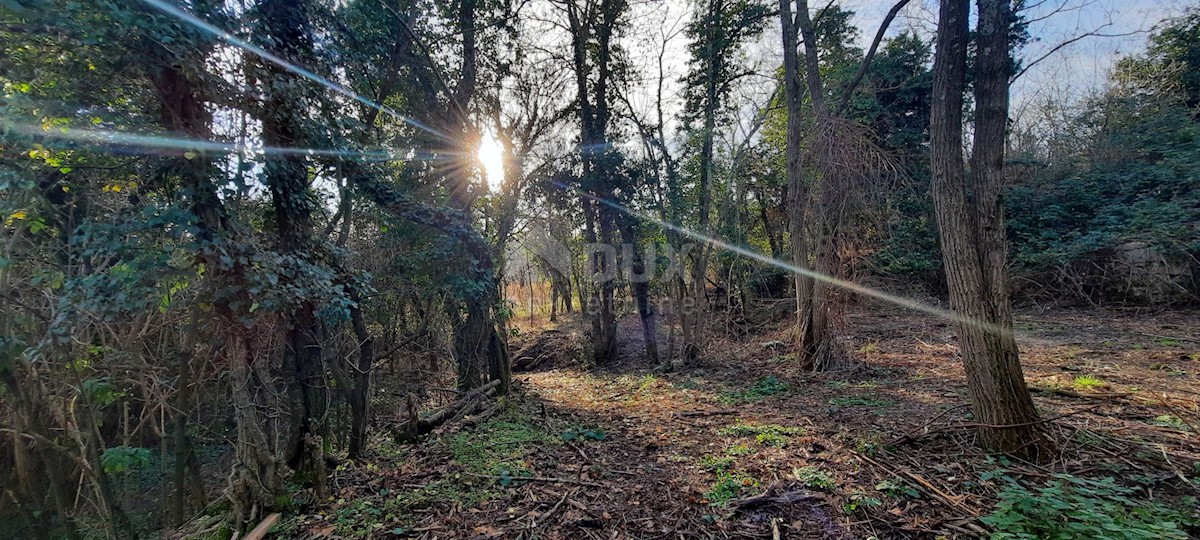 Terreno In vendita - ISTARSKA  BUJE 