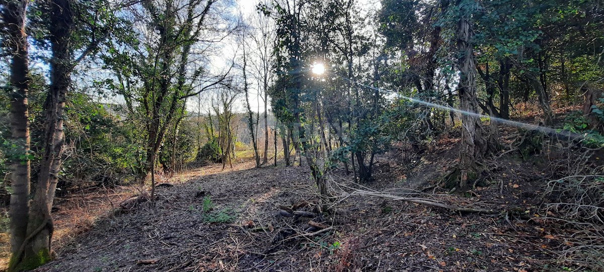 Terreno In vendita - ISTARSKA  BUJE 