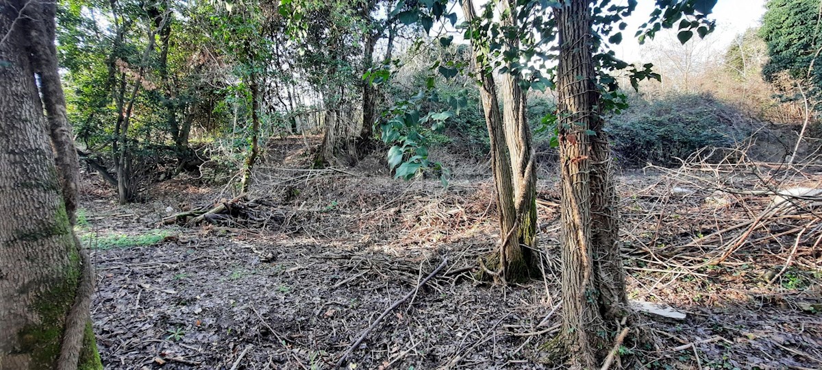 Terreno In vendita - ISTARSKA  BUJE 