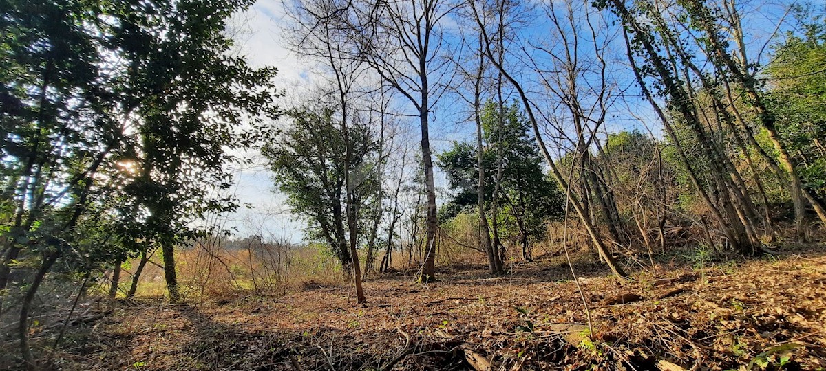 Terreno In vendita - ISTARSKA  BUJE 