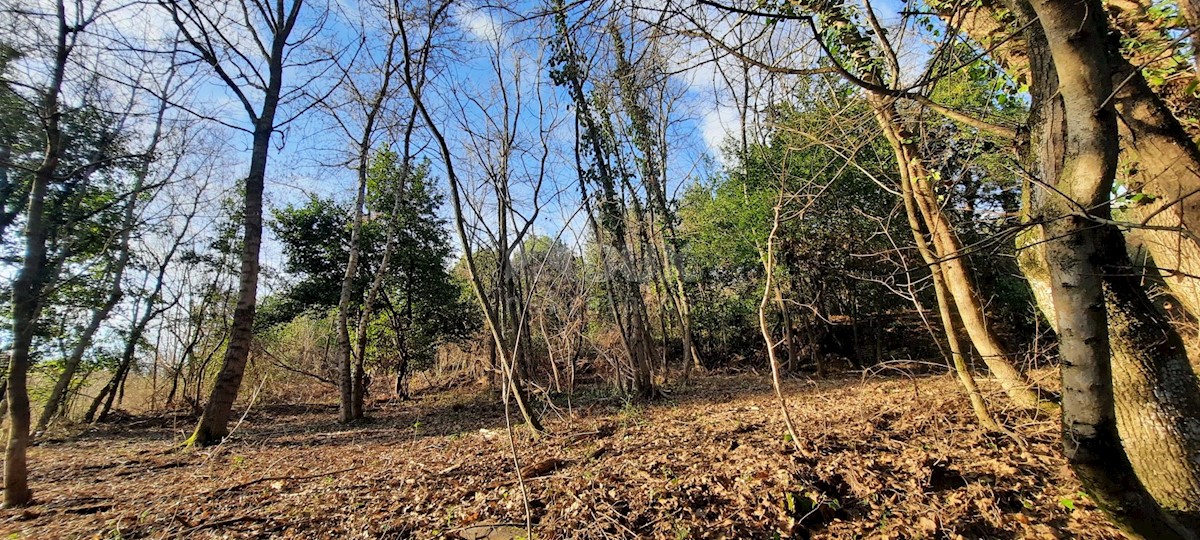 Terreno In vendita - ISTARSKA  BUJE 