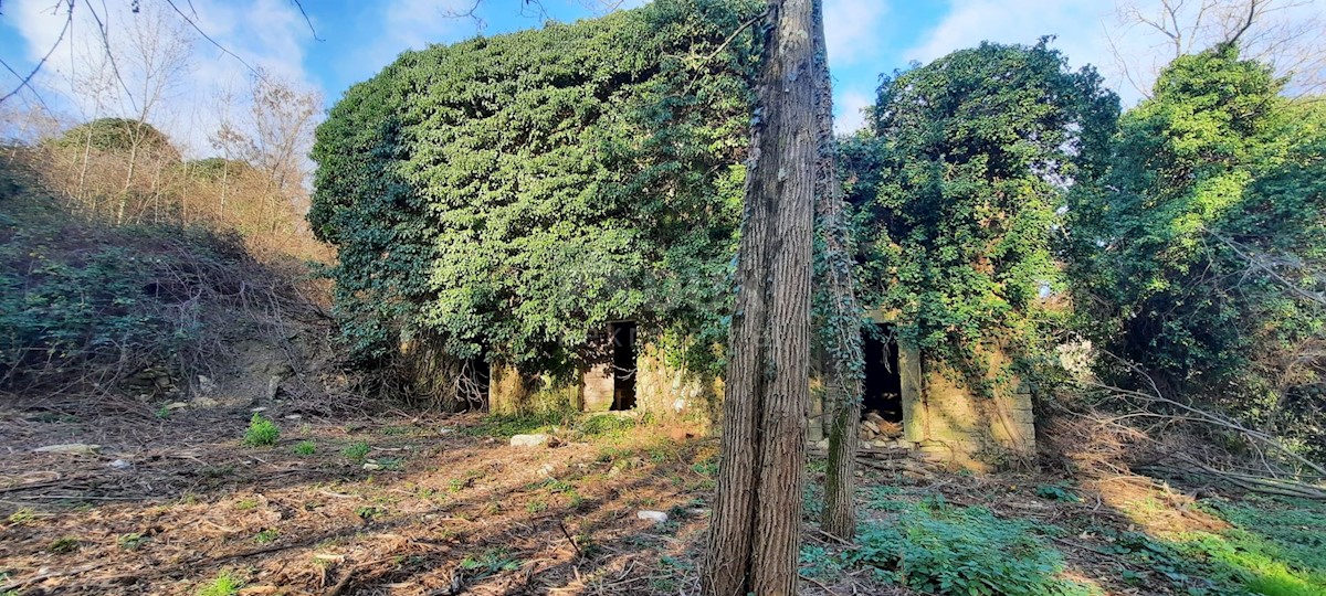 Terreno In vendita - ISTARSKA  BUJE 