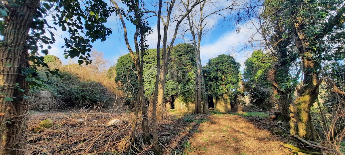 Terreno In vendita - ISTARSKA  BUJE 