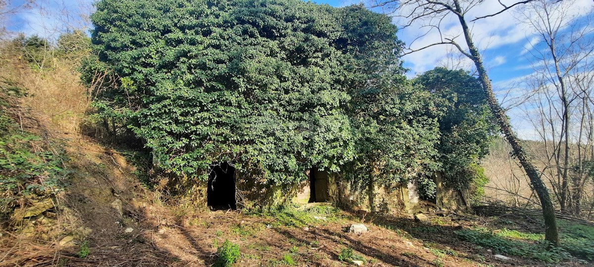 Terreno In vendita - ISTARSKA  BUJE 