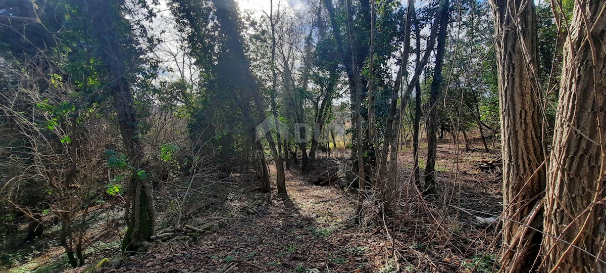 Terreno In vendita - ISTARSKA  BUJE 