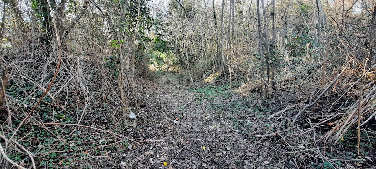 Terreno In vendita - ISTARSKA  BUJE 